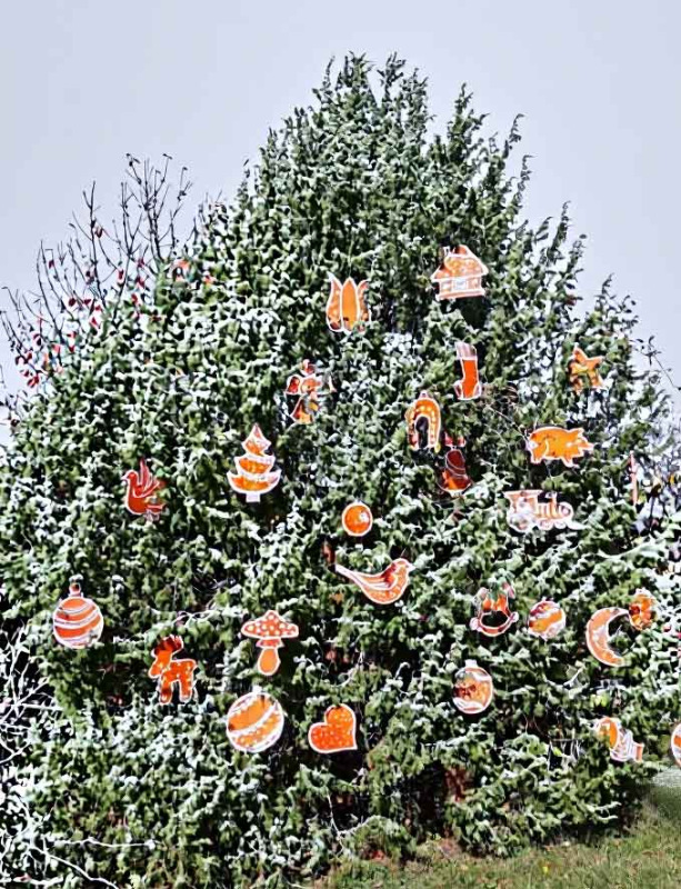 Veľké ozdoby, Holub 35,2 x 42,4 cm 6